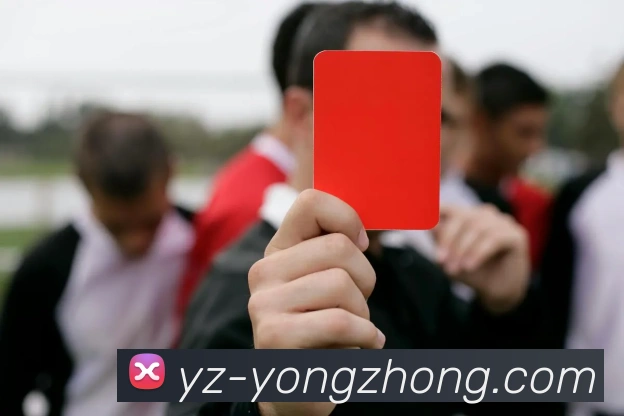 爱游戏品牌故事